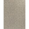 S F254/F255 BST ceppo min. grey - beige 8 x 2070 x 2800 mm  D2 