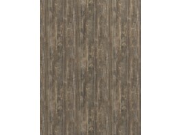 ABS H262 W06 barnwood bark brown 1 x 23 mm  1 rol   75 m 