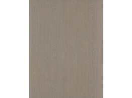 ABS H267 V1A dainty oak latte 1 x 23 mm  1 rol   75 m 