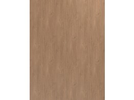 ABS H327 BST oak rustique 1 x 23 mm  1 rol   75 m 